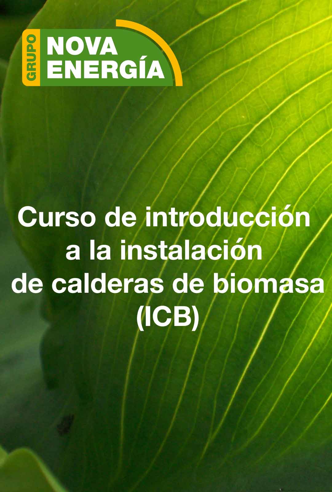 INTRODUCCIÓN A LA INSTALACIÓN DE CALDERAS DE BIOMASA