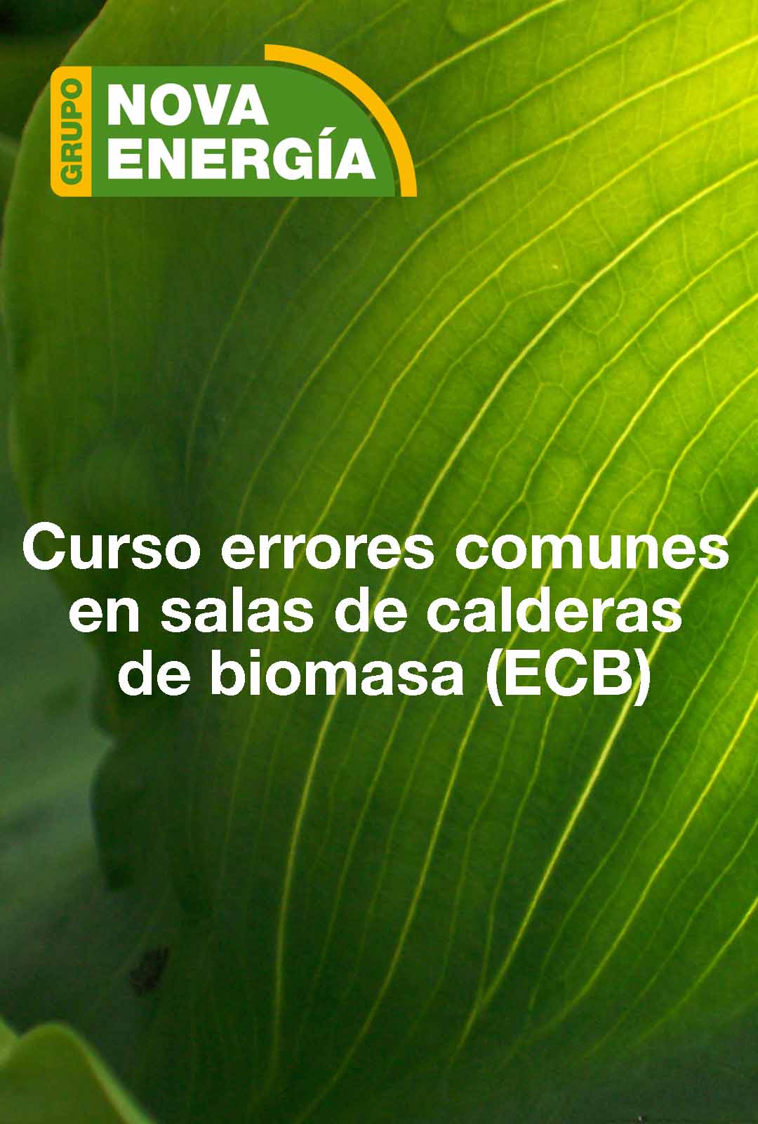 ERRORES COMUNES EN EL DISEÑO, INSTALACIÓN Y EXPLOTACIÓN DE SALAS DE CALDERAS DE BIOMASA