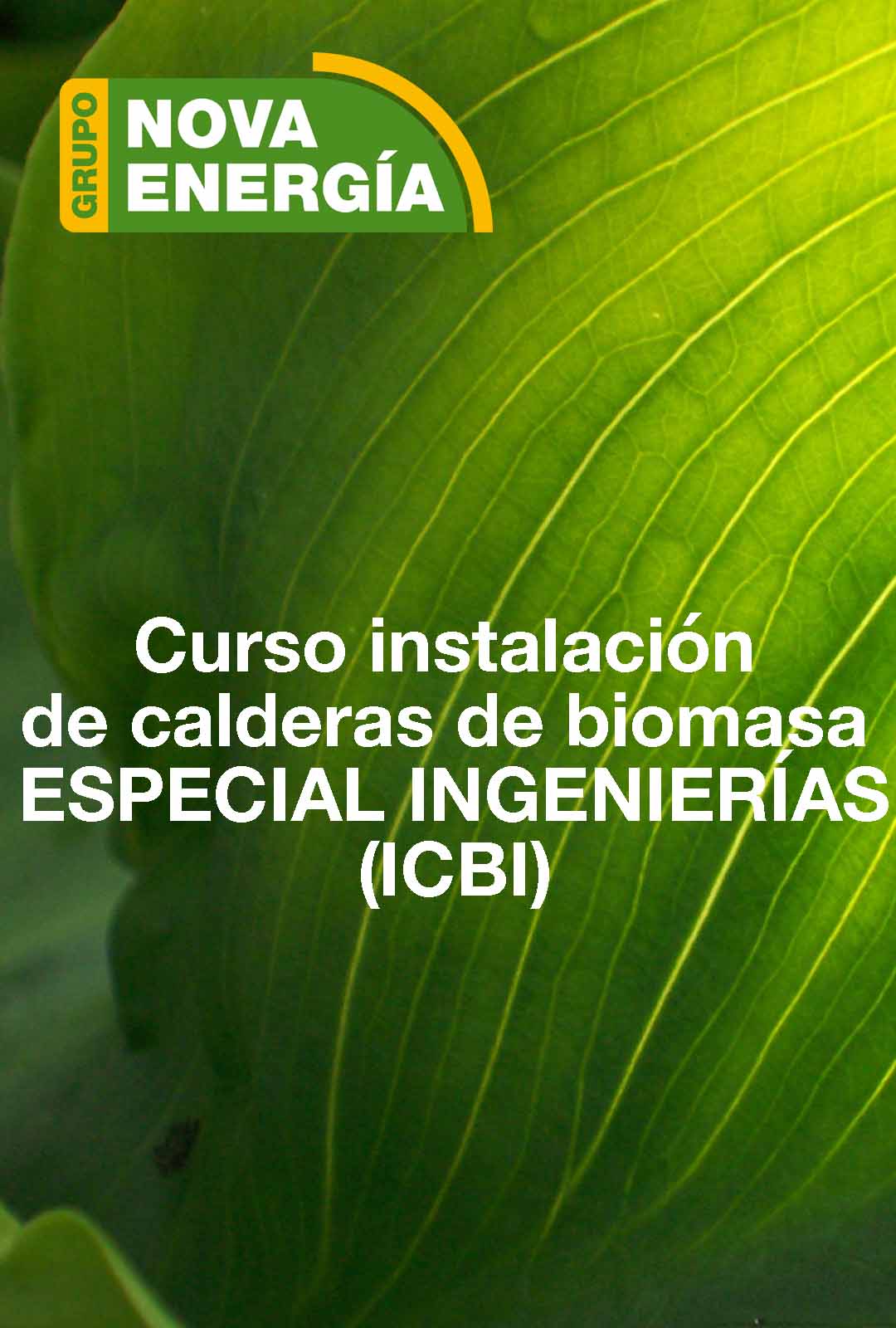 INSTALACIÓN CALDERAS DE BIOMASA - ESPECIAL ENGENIERÍAS